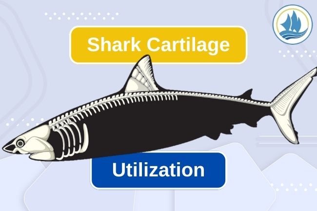 5 Commercial Purposes Of Shark Cartilage